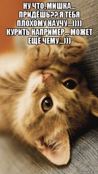 ну что, мишка... придёшь?? я тебя плохому научу...)))) курить например... может ещё чему...))) 