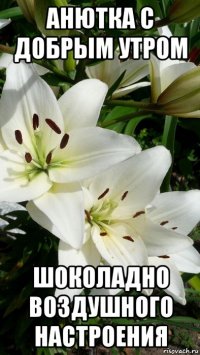 анютка с добрым утром шоколадно воздушного настроения