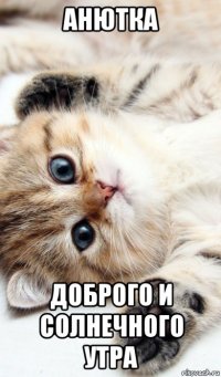 анютка доброго и солнечного утра