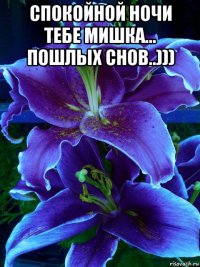 спокойной ночи тебе мишка... пошлых снов..))) 