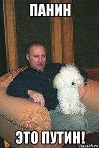 панин это путин!