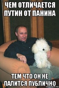 чем отличается путин от панина тем что он не палится публично