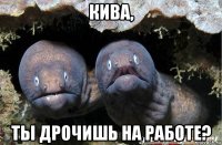 кива, ты дрочишь на работе?