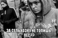  за сельхозку не топишь, пёс??