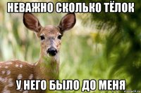 неважно сколько тёлок у него было до меня