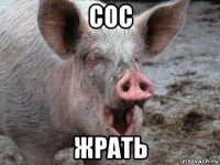 сос жрать