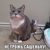  не трожь сашеньку!