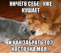 ничего себе - уже кушает и как забрать то? косточка моя...