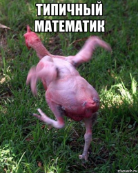 типичный математик 