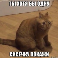 ты хотя бы одну сисечку покажи