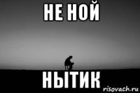 не ной нытик