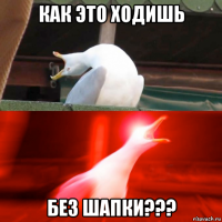 как это ходишь без шапки???