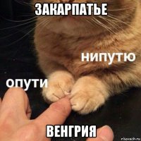 закарпатье венгрия