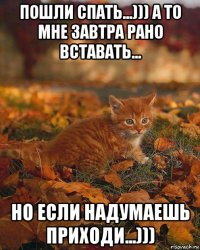 пошли спать...))) а то мне завтра рано вставать... но если надумаешь приходи...)))