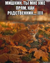 мишкин, ты мне уже прям, как родственник.... )))) 