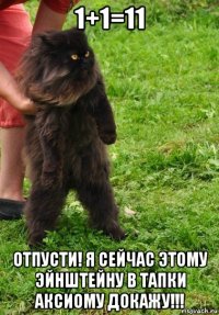 1+1=11 отпусти! я сейчас этому эйнштейну в тапки аксиому докажу!!!