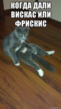 когда дали вискас или фрискис 
