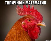 типичный математик 