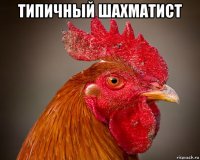 типичный шахматист 