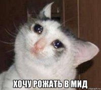  хочу рожать в мид