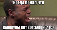когда понял что каникулы вот вот закончатся