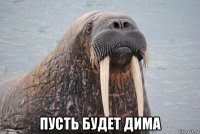  пусть будет дима