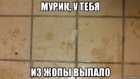 мурик, у тебя из жопы выпало