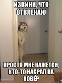 извини, что отвлекаю просто мне кажется, кто-то насрал на ковёр