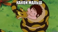 какой мальш 
