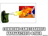  сожжение самозванного карабахского флага