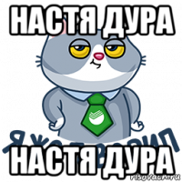 настя дура настя дура
