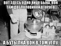 вот здесь одно яйцо быка, вон там две половинки второго а бутылка вон в том углу