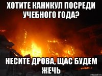 хотите каникул посреди учебного года? несите дрова, щас будем жечь