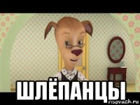  шлёпанцы
