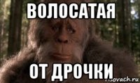 волосатая от дрочки
