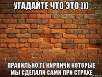 угадайте что это ))) правильно те кирпичи которые мы сделали сами при страхе