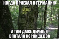 когда приехал в германию а там даже деревья впитали корни дедов
