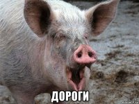  дороги