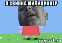 я свинка милиционер 