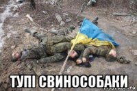  тупі свинособаки