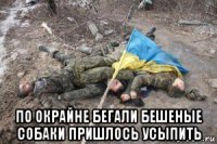  по окрайне бегали бешеные собаки пришлось усыпить