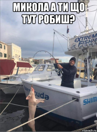 микола а ти що тут робиш? 