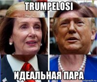 trumpelosi идеальная пара