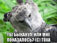 ты быканул, или мне показалось? (с) тоха