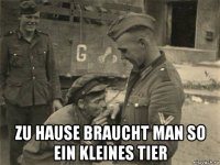  zu hause braucht man so ein kleines tier