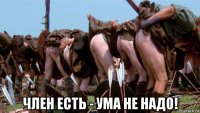  член есть - ума не надо!