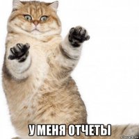  у меня отчеты