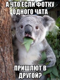 а что если фотку одного чата пришлют в другой?