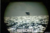  карасино