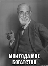  мои года мое богатство